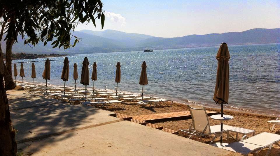 imagini hotel AURUM DIDIM